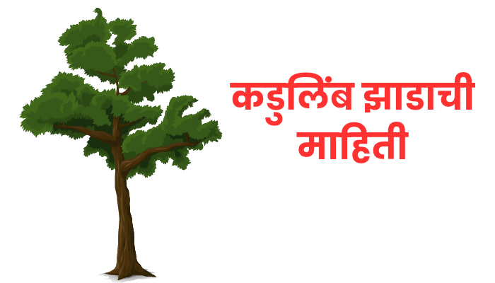 Neem tree information in marathi